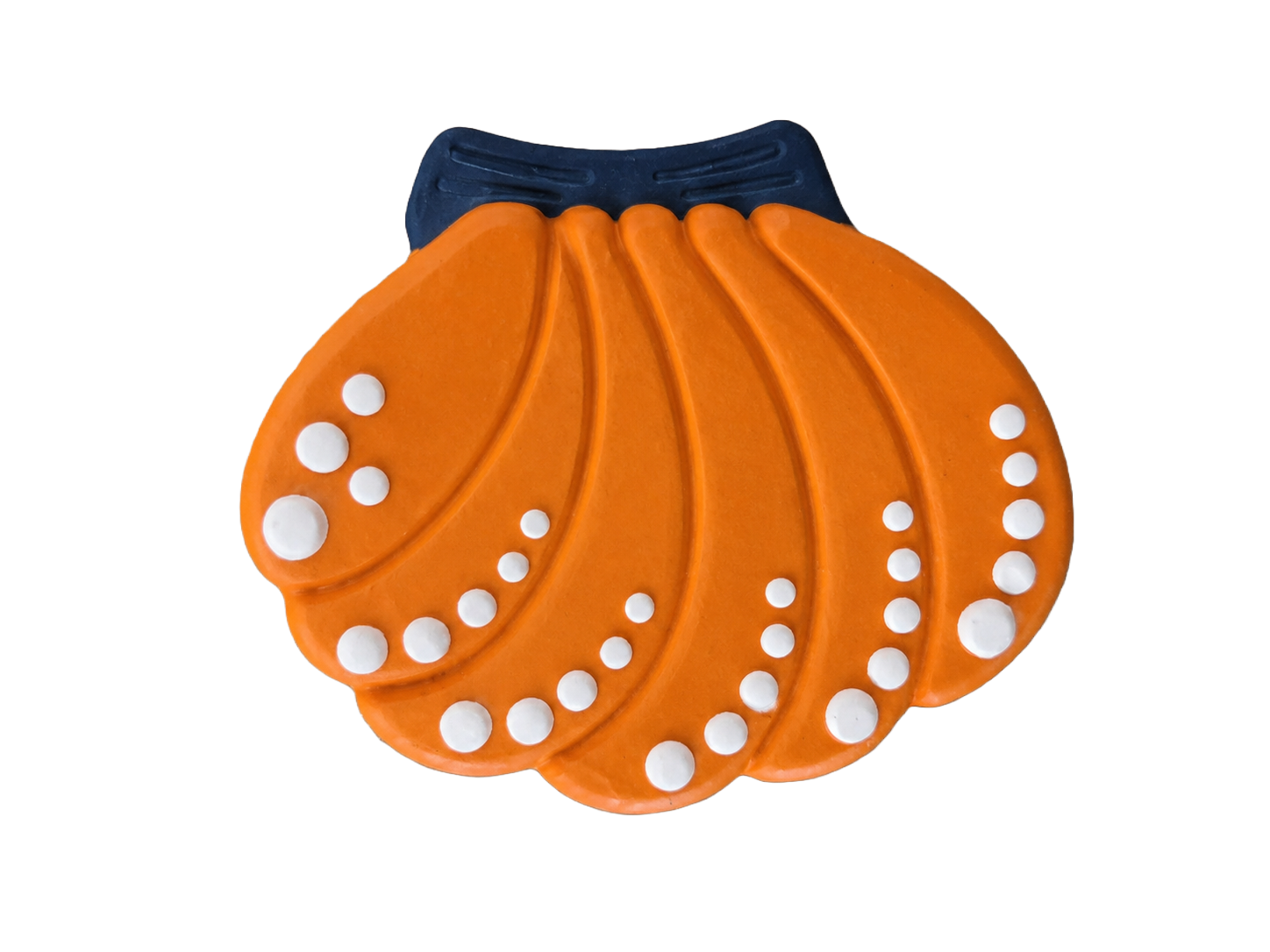 Fluted Scallop Shell